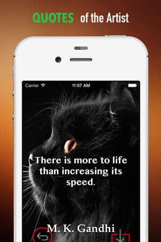 Black Cats Wallpapers HD: Quotes Backgrounds with Art Pictures screenshot 4