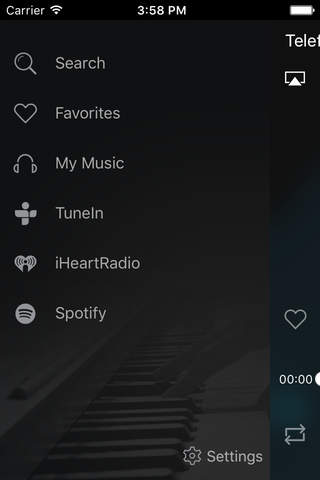 TELEFUNKEN Wi-Fi Bluetooth Speaker screenshot 3