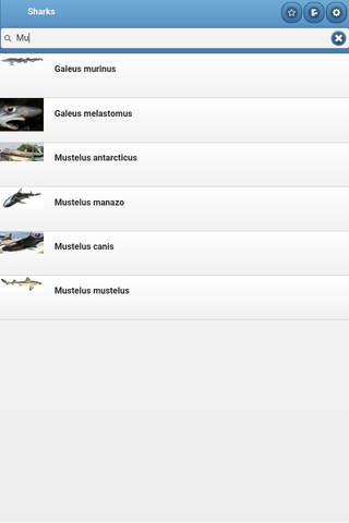 Directory of sharks screenshot 4
