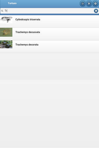 Directory of turtles screenshot 4