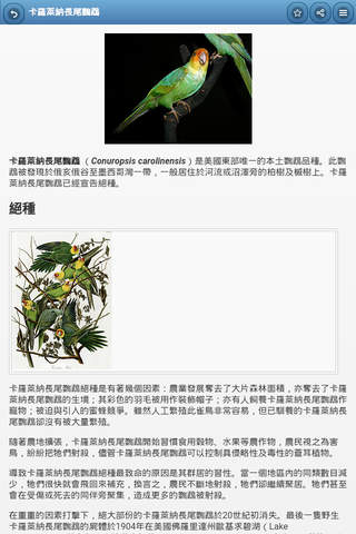 Directory of parrots screenshot 2