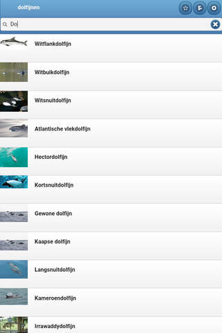 Directory of dolphins screenshot 4