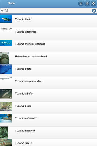 Directory of sharks screenshot 4
