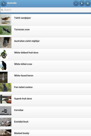 Directory of birds screenshot 2