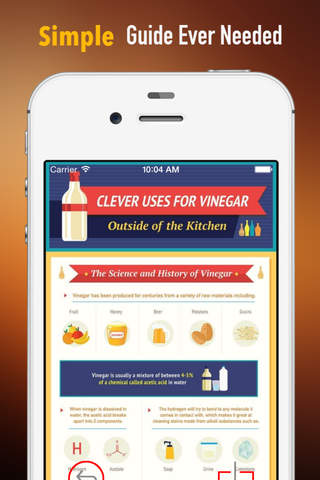 DIY Vinegar:Recipes and Uses screenshot 2