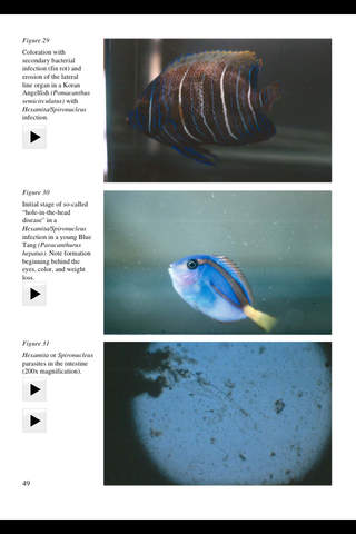 Fish Diseases screenshot 2