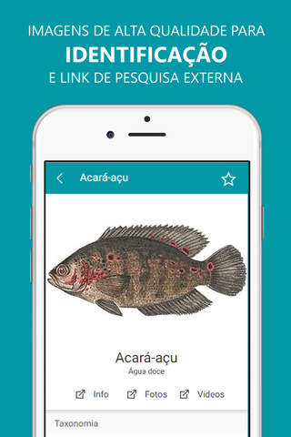 Guia de Peixes & Pesca screenshot 3