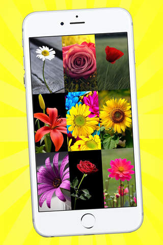 Flower Wallpaper HD - Awesome Natural Background Image.s & Floral Lock Screen Theme screenshot 2