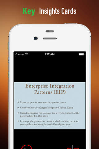 Enterprise Integration Patterns:Practical Guide Cards with Key Insights and Daily Inspiration screenshot 4