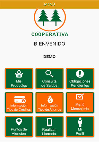 Aplicación Financiera screenshot 2