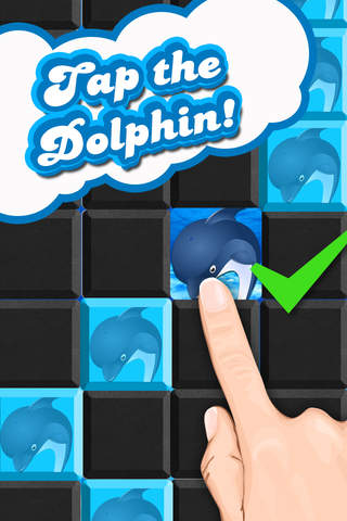 Baby Dolphin Summer Show in Holiday Theme Parks screenshot 3