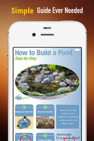 How to Care for Your Pond:Tips and Tutorial screenshot 2