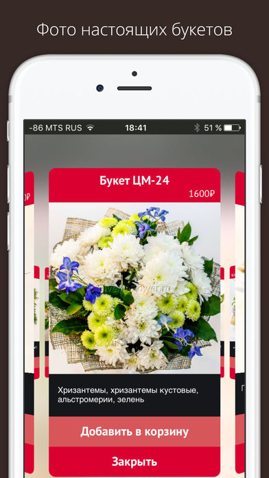 iPhone Screenshot 3