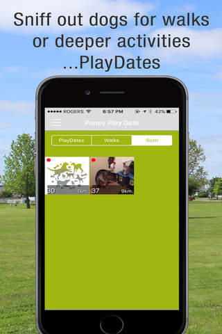 Puppy Play Date screenshot 4