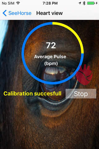 SeeHorse-Equine Wearable screenshot 3