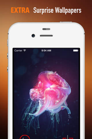 Jellyfish Wallpapers HD: Quotes Backgrounds with Art Pictures screenshot 3