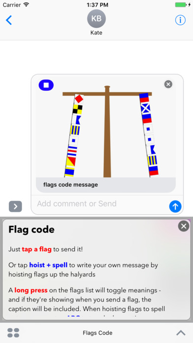 Flags Code screenshot 3