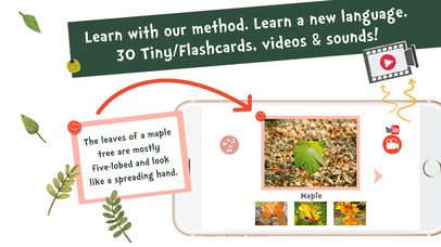 Sami Tiny FlashCards forest adventures kids apps screenshot 2