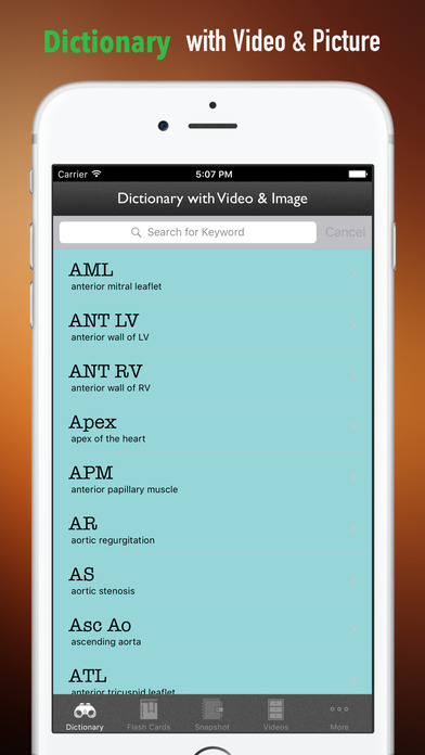 Echocardiography Glossary|Cheatsheet,Study Guide screenshot 4