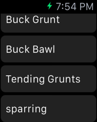iPhone Screenshot 1