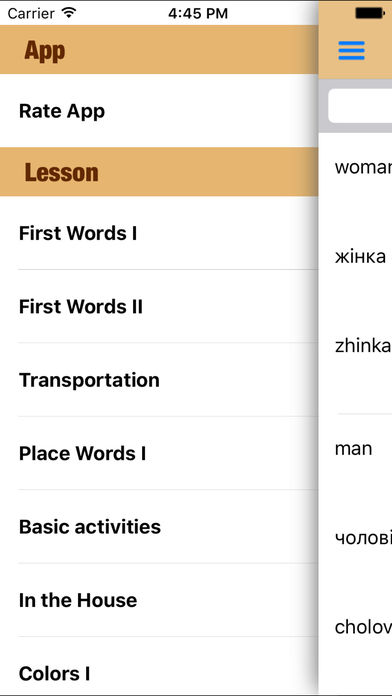 Ukrainian Lingo - Education for life screenshot 3