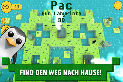 Pac Run Labyrinth 3D PRO screenshot 2