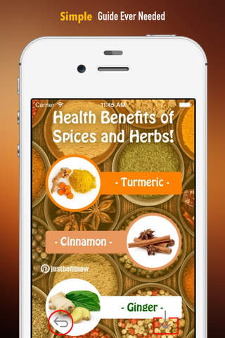 Spices 101: Tutorial Know-How Guide and Latest Hot Topics screenshot 2