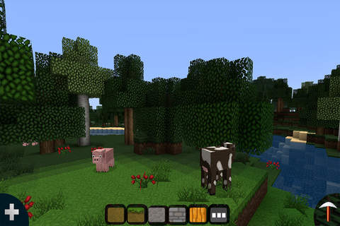 Pocket Craft 3D : World Builder screenshot 2