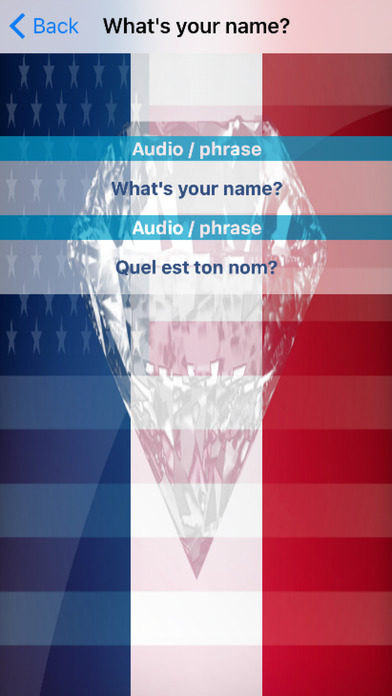 French Phrases Offline screenshot 3