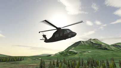 Stealth Hawk Flight Simulator screenshot 2