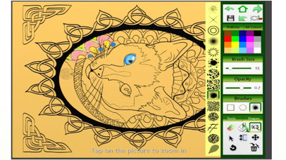 Celtic Knots Adult Coloring Book screenshot 2