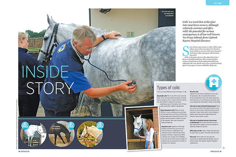 Horse and Rider Magazine screenshot 4