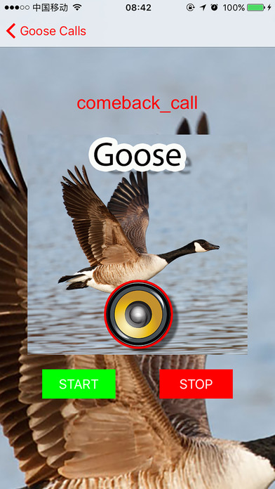 Hunting Calls for Goose screenshot 4
