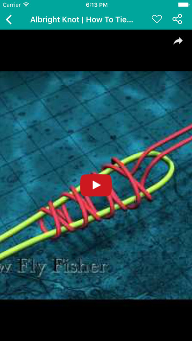 Fishing Knots Videos screenshot 4