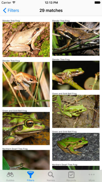 Australian Reptiles and Frogs screenshot 4