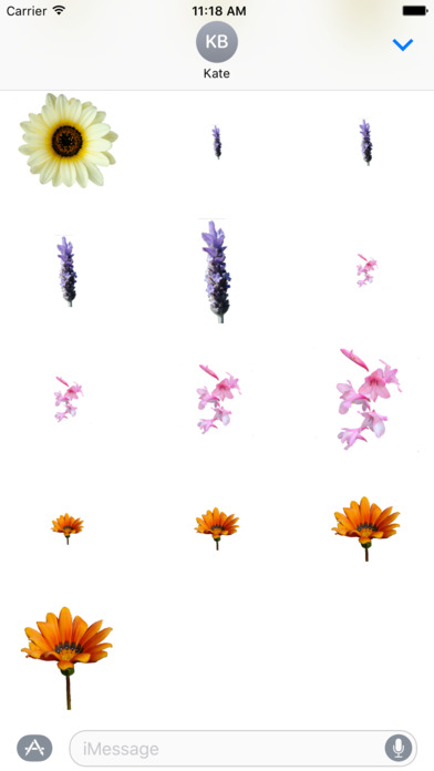 Flower Stickers 花貼紙 screenshot 3