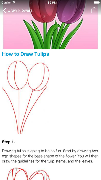 How To Draw Flowers - Step By Step Drawing screenshot 2