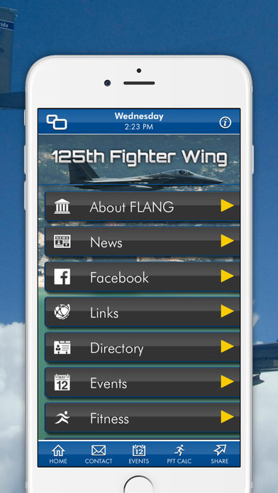 125th Fighter Wing screenshot 3