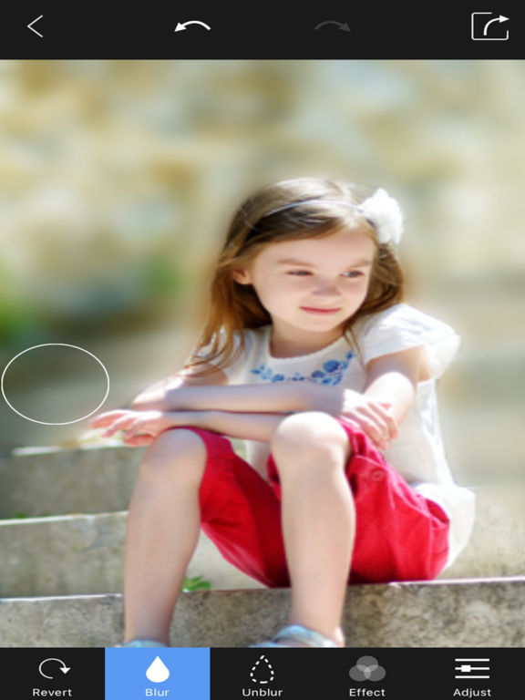 Screenshots of Blur Photo Background - Touch Blur Effect Editor for iPad