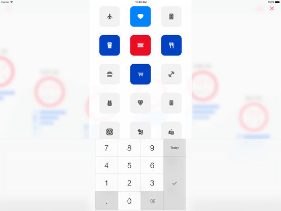 iPad Screenshot 3