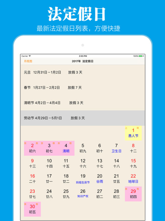 iPad Screenshot 4