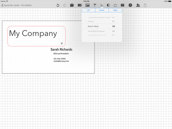 iPad Screenshot 3