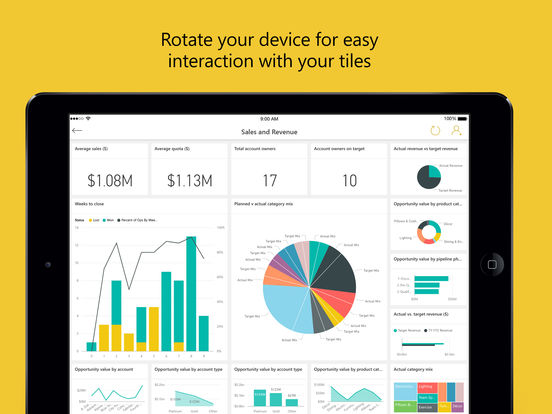 Microsoft Power BI Screenshot