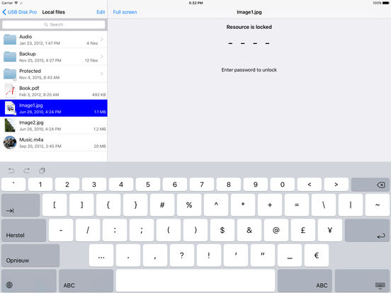 iPad Screenshot 4