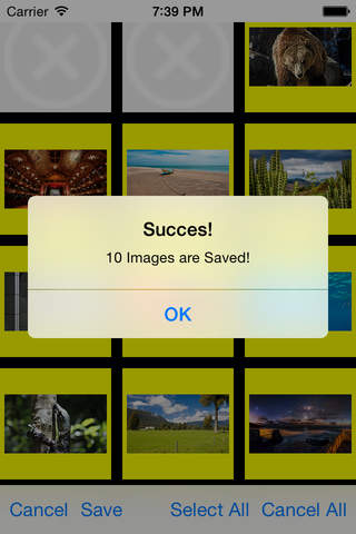 Picrawl - Gather Images in the World screenshot 2