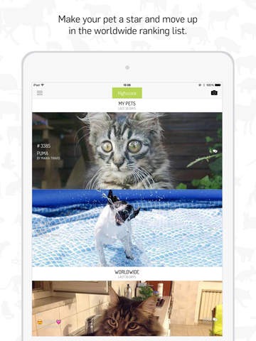 【免費社交App】Peterest - Pet Photo Gallery-APP點子