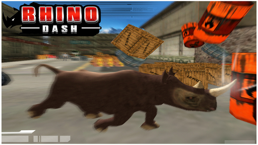 免費下載遊戲APP|3D Rhino Dash Free ( Rampage Simulator Game ) app開箱文|APP開箱王