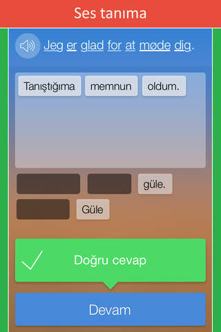 Learn Danish: Language Course screenshot 4