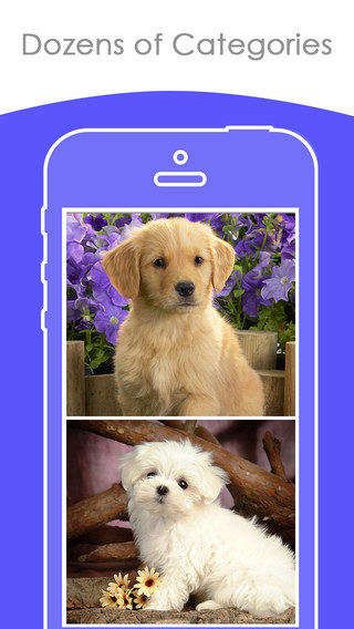 【免費生活App】Cute Puppy Wallpapers HD - Adorable and cute Puppies-APP點子