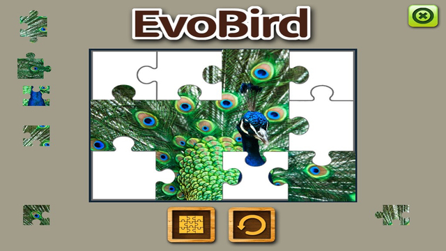 免費下載書籍APP|EVO BIRD - Augmented Reality app開箱文|APP開箱王